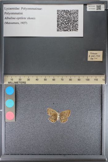 Media type: image;   Entomology 193425